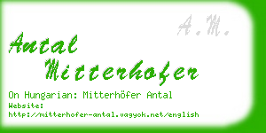 antal mitterhofer business card
